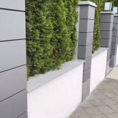 Sanierung und Anstrich Mauer